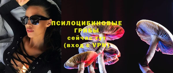 ПСИЛОЦИБИНОВЫЕ ГРИБЫ Армянск