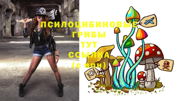дживик Снежинск